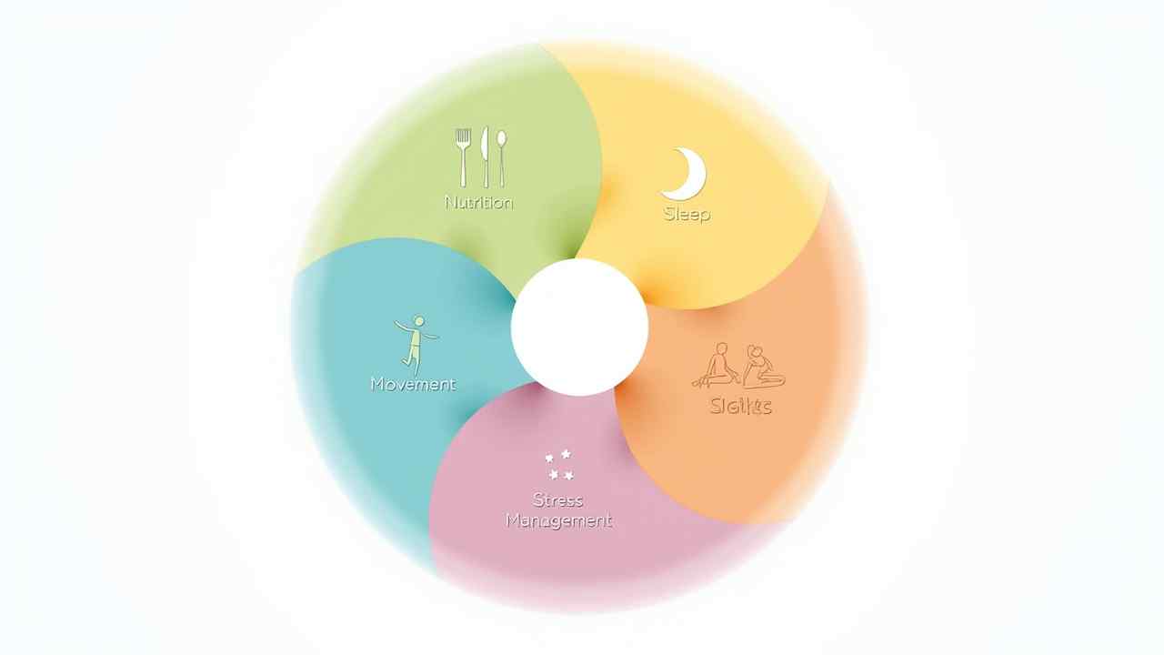 🌿 A Complete Human Health Guide: The 5 Pillars of Wellness